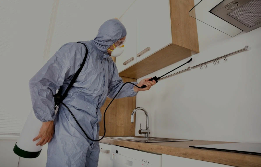 Beverly Hills pest managment